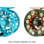 Top 12 Best 8 Weight Saltwater Fly Reel You Can’t Miss