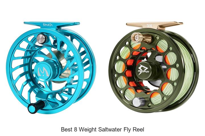 Top 12 Best 8 Weight Saltwater Fly Reel You Can’t Miss