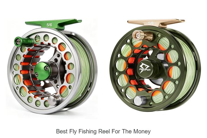 Top 12 Best Fly Fishing Reel For the Money You Need Now