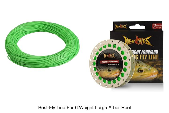 Top 12 Best Fly Line for 6 Weight Large Arbor Reel Revealed!