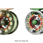 Top 12 Best Fly Reel 25 That Will Change Your Fishing Game