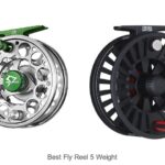 Top 12 Best Fly Reel 5 Weight That Will Blow Your Mind