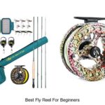 Top 12 Best Fly Reel For Beginners You Can’t Miss!