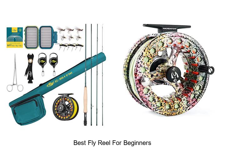 Top 12 Best Fly Reel For Beginners You Can’t Miss!