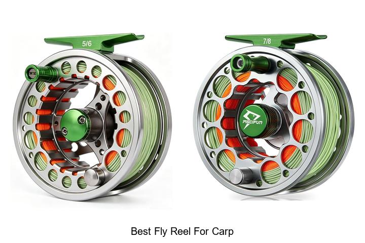 Top 12 Best Fly Reel For Carp That Will Change Your Game