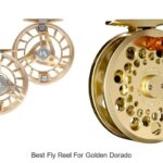 Top 12 Best Fly Reel for Golden Dorado You Must Own Now