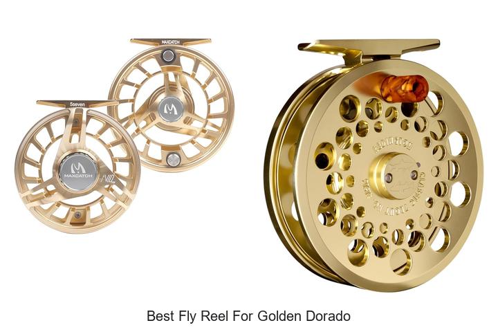 Top 12 Best Fly Reel for Golden Dorado You Must Own Now