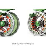 Top 12 Best Fly Reel For Stripers You Can’t Miss!