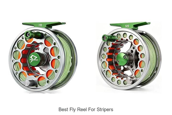 Top 12 Best Fly Reel For Stripers You Can’t Miss!