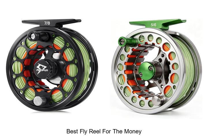 Top 12 Best Fly Reel For The Money You Can’t Miss!