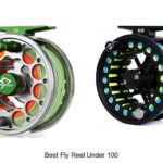 Top 12 Best Fly Reel Under 100 That Will Blow Your Mind!