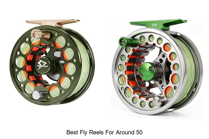 Top 12 Best Fly Reels For Around 50 That Will Blow Your Mind