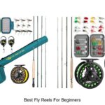 Top 12 Best Fly Reels for Beginners You Can’t Miss