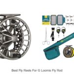 Top 12 Best Fly Reels For G Loomis Fly Rod That Amaze