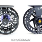 Top 12 Best Fly Reels Saltwater Anglers Swear By