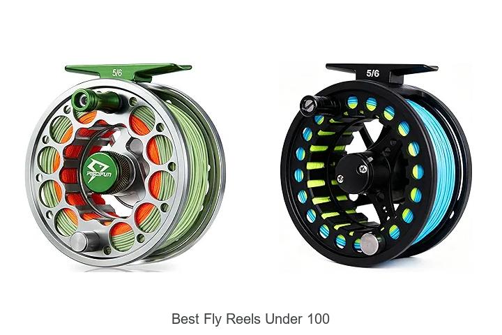 Top 12 Best Fly Reels Under 100 That Will Blow Your Mind