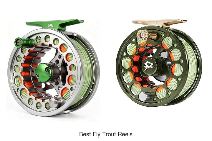 Top 12 Best Fly Trout Reels That Will Boost Your Catch!