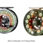 Top 12 Best Freshwater Fly Fishing Reels You Can’t Miss