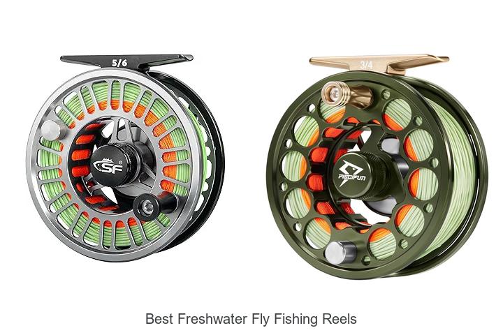 Top 12 Best Freshwater Fly Fishing Reels You Can’t Miss