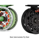 Top 12 Best Intermediate Fly Reel You Can’t Miss!