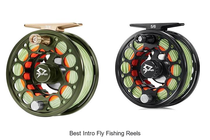 Top 12 Best Intro Fly Fishing Reels That Will Blow Your Mind