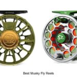 Top 12 Best Musky Fly Reels You Can’t Miss Today!