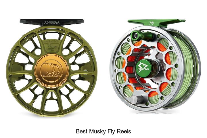 Top 12 Best Musky Fly Reels You Can’t Miss Today!