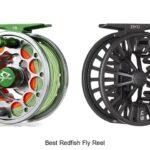 Top 12 Best Redfish Fly Reel That Will Blow Your Mind!