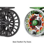 Top 12 Best Redfish Fly Reels That Will Blow Your Mind