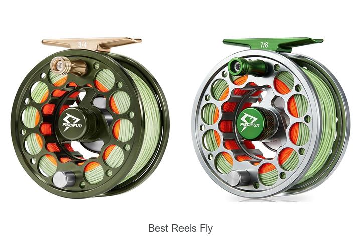 Top 12 Best Reels Fly That Will Boost Your Catch Fast