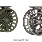 Top 12 Best Sage Fly Reel Picks That Will Blow Your Mind