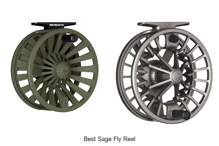Top 12 Best Sage Fly Reel Picks That Will Blow Your Mind