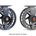 Top 12 Best Salt Water Fly Reels That Will Blow Your Mind!