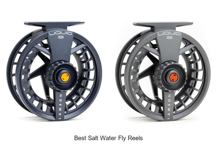 Top 12 Best Salt Water Fly Reels That Will Blow Your Mind!