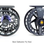 Top 12 Best Saltwater Fly Reel That Will Blow Your Mind
