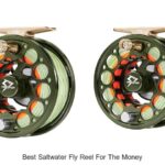 Top 12 Best Saltwater Fly Reel For The Money You Need Now