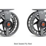 Top 12 Best Sealed Fly Reel That Will Blow Your Mind!