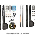 Top 12 Best Starter Fly Reel For The Sollar You Need Now!