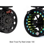 Top 12 Best Trout Fly Reel Under 100 You Can’t Miss!