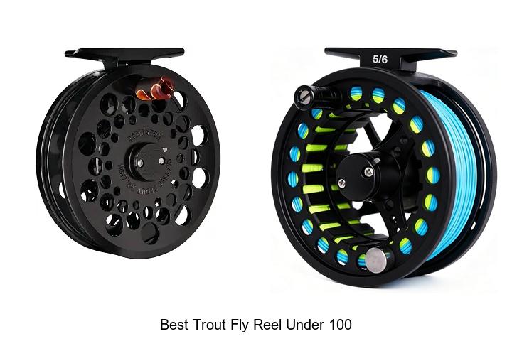 Top 12 Best Trout Fly Reel Under 100 You Can’t Miss!